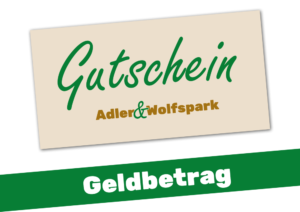 Gutschein Gelbetrag